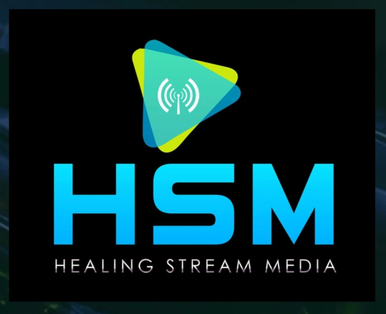 HSM Main Logo