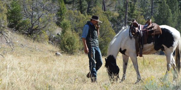 Trail rides in Yellowstone National Park