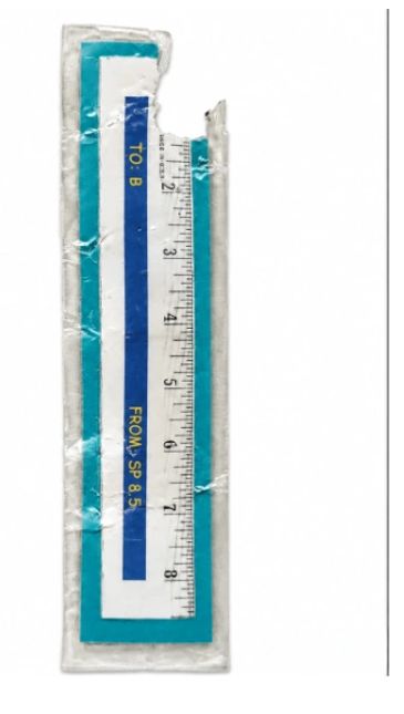 8.5 ruler after Mischa had her way with it