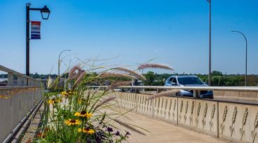 view from sidewalk on city bridge, looking toward passing cars, flowers in foreground