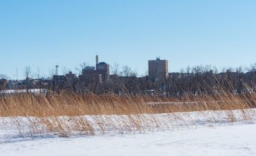 front: wheat field with snow on ground, background: skyline of downtown brandon