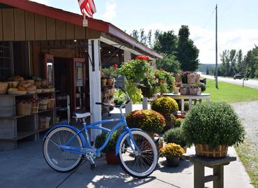 Northwood Market in Arcadia