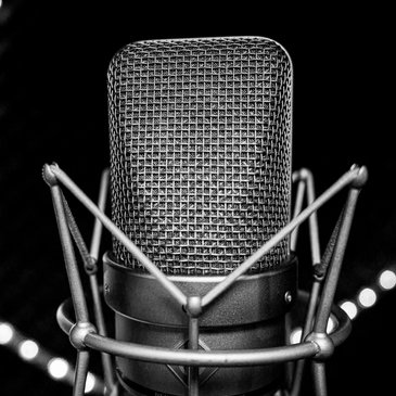 neumann tlm 103 microphone