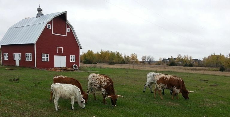 image834