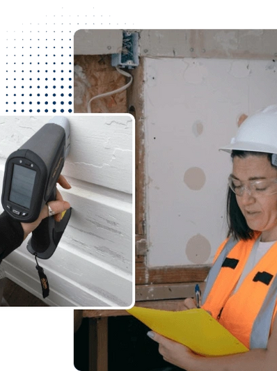 lead inspectors