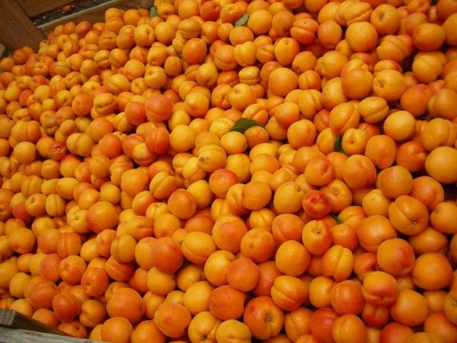 Appricots Appricots