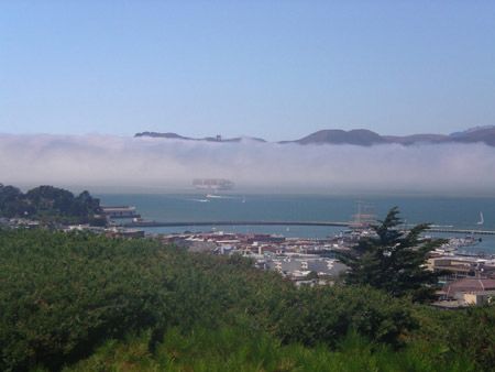 SF_fog3 SF_fog3