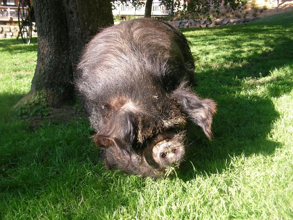 What_s_this What_s_this