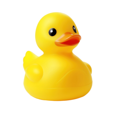 Rubber Duckie for adoption