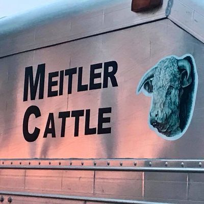 Meitler Cattle
