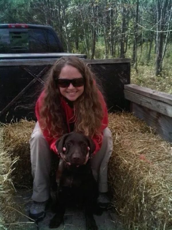 Dog Walking Vienna, VA