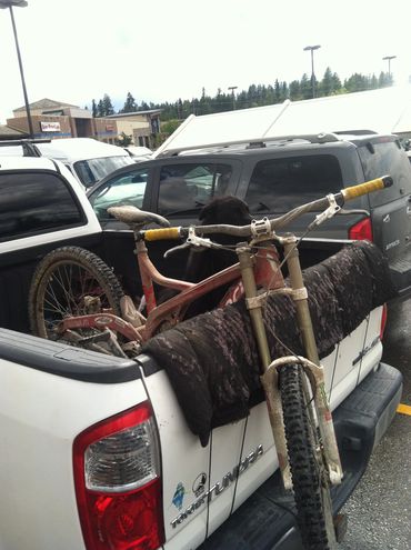 Even the dog is ashamed