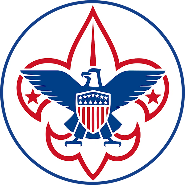 Boy Scout Modern Eagle logo
