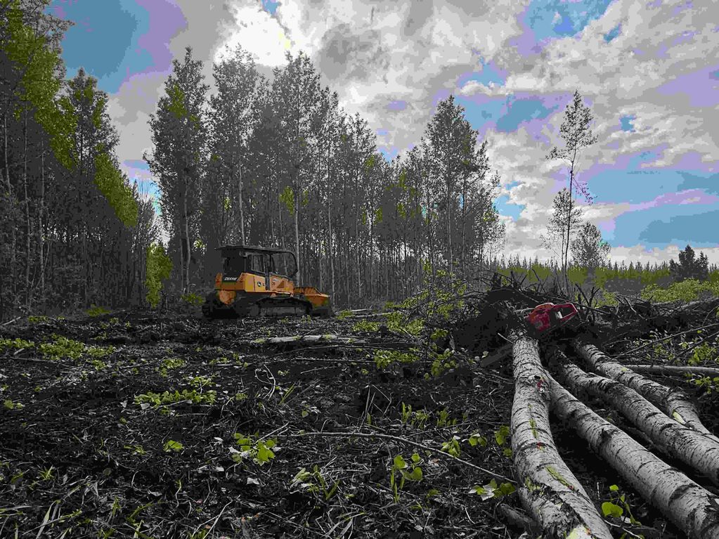 3-Acre Land Clearing Project