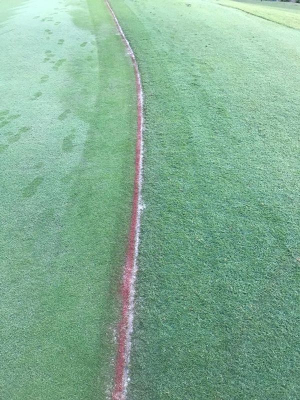 Immediately after and cleaned, showing minimal disruption.