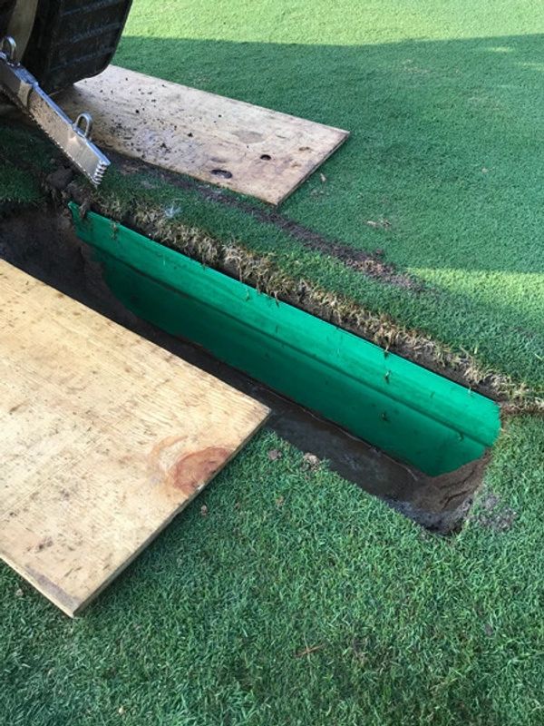 Barrier is installed at the perfect height to prevent any and all rhizomes from encroaching.