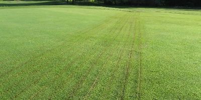 Water Wick Drainage System after installed with little disruption and great drainage.