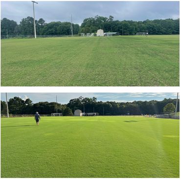 Professional Turfgrass Services managing a soccer field after overseeding.