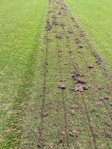Professional Turfgrass Services using the Imants Recycle Dresser.