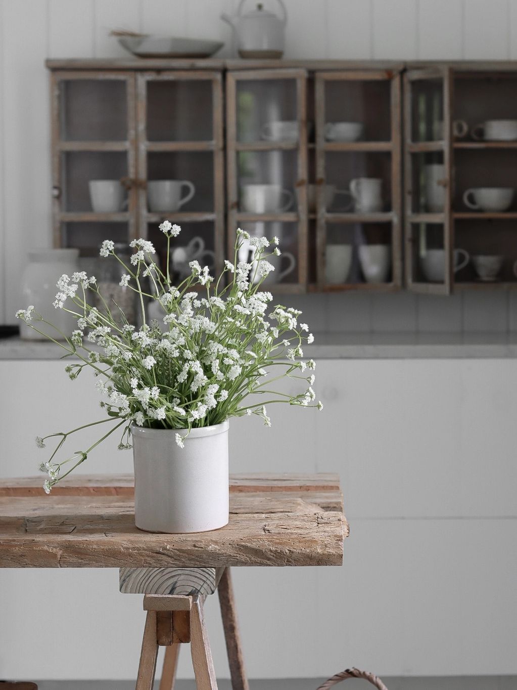 Roadside bouquet’s. I love this time of year when the wildflowers are in full bloom!