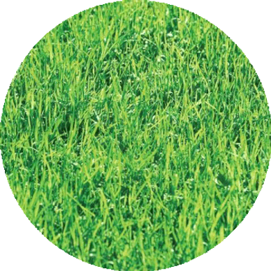 High heels can sink into grass