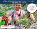 Organic farming