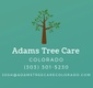 Adams Tree Care