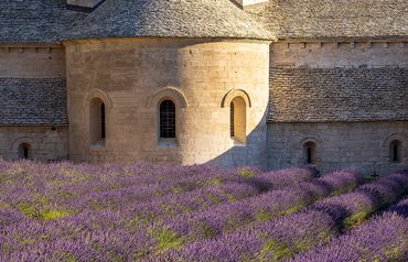 "Early Morning, Abbey Senanque"
Close-up of Abbey Senanque with a field of lavendar in the foregroun