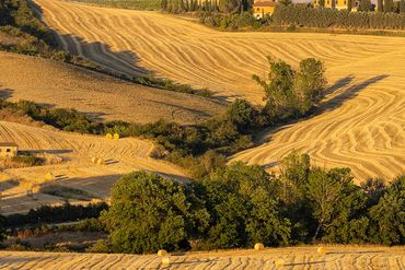"Tuscany"
The rolling hills of the Tuscan countryside