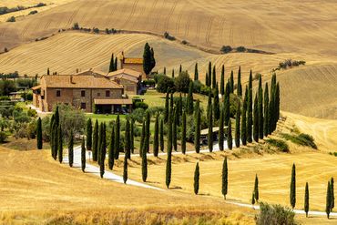 "Tuscan Home"
A golden Tuscan countryside with rolling farmland with a family villa bordered with ta