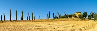 "Tuscan Morning"
Early morning panoramic image of the Tuscan countryside with trees and a cottage.