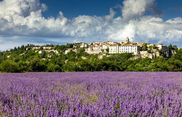 "Village Of Salut, Provence"
Salut, Provence at a distance in front of a vast field of lavender.