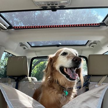 colorado pet concierge
