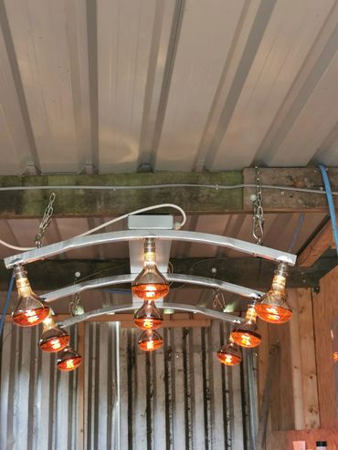 9 lamp solarium. Easy to install