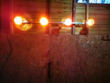 4 lamp set up in a grooming area