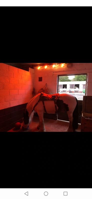 4 lamp solarium. Great for horses, puppy pens or keeping lambs warm in cold weather.