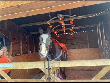 9 lamp solarium. Great value for money.