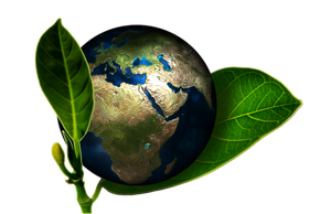 GREEN CLEAN CERTIFIED INSTITUTE; GREEN CLEANING SERVICES; ECO-FRIENDLY CLEANING SOLUTIONS