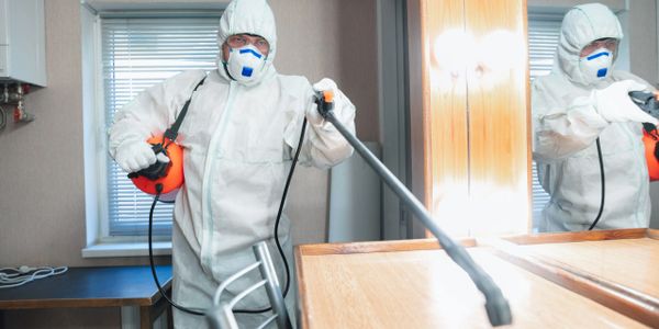 Electrostatic sprayer DISINFECTION SERVICES DONE BY COMMERCIAL CLEANING SERVICE IN ALBUQUERQUE, Nm