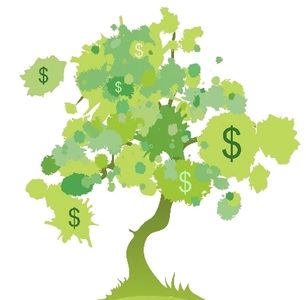 Green Cleaning products help the environment to thrive.