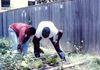 Chez Harbor Clubhouse Garden at MHMR on Landcaster Rd 1990s