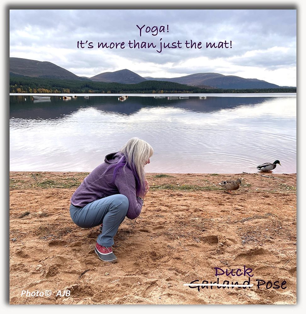 Funky Monkey Yoga LLC outdoor yoga