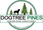 Dogtree Pines
SENIORS ONLY ANIMAL SANCTUARY
