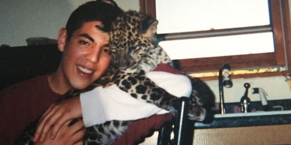 Papillon breeder Derry NH