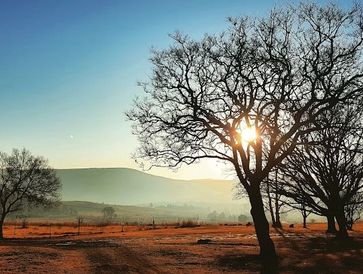 Ease@Epa, farm stay, self-catering accommodation, camping, Highlands Meander, Waterval Boven,