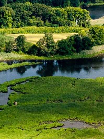 An aerial view of a winding river surrounded by lush green forests and fields.