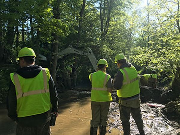 Construction workers in safety vests and helmets working near a muddy stream in a wooded area.