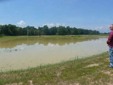 A man stands on a grassy bank, looking out at a large, muddy pond under a sunny sky.