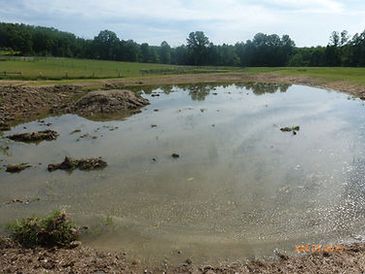 A shallow, muddy puddle in the middle of a field, with a pile of dirt and a fence in the background