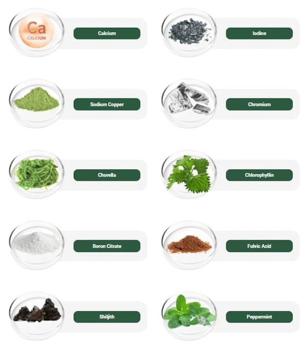 Eight bowls with various chemical elements and natural substances labeled.